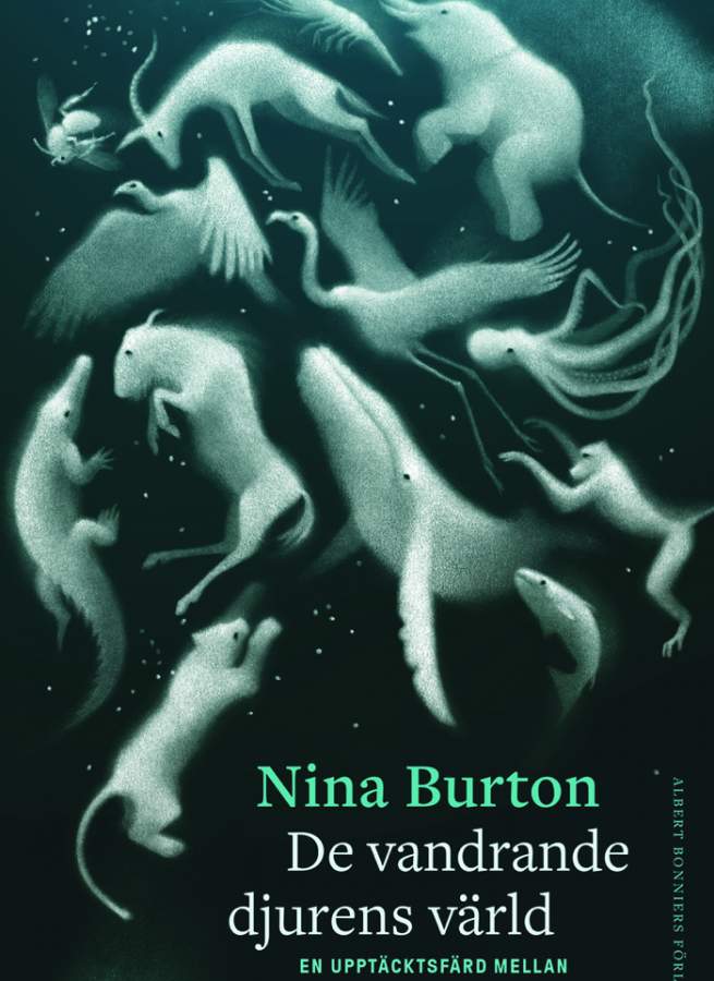 post/251118-burton-omslag